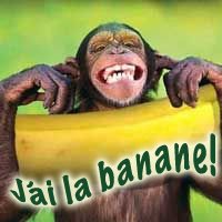 banana